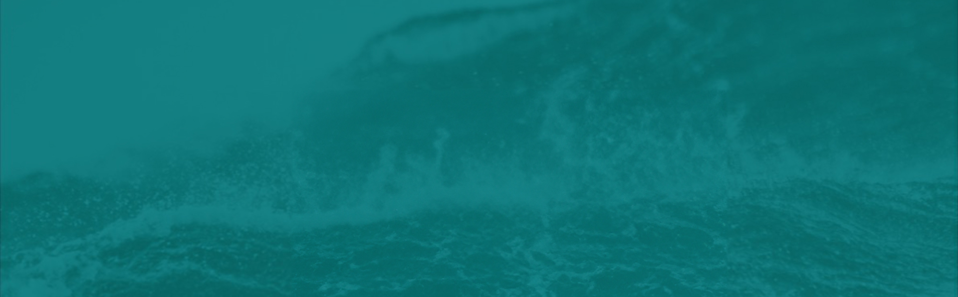 header_bg
